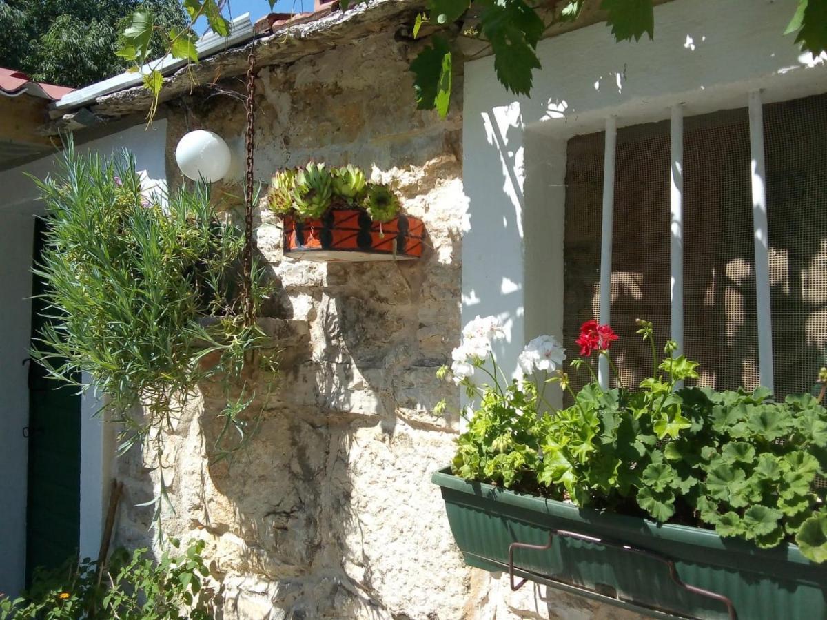 House Kuna Bristane Εξωτερικό φωτογραφία